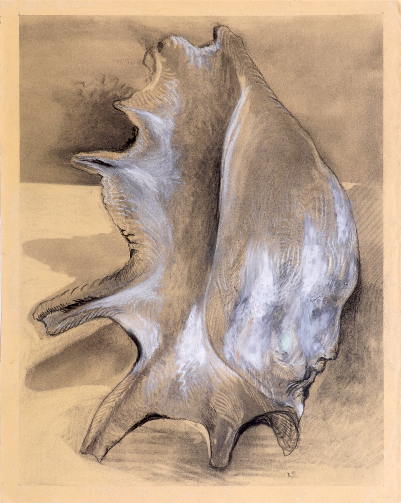 ‘Sogno’, 2025 | Series: Corpi mirabili | Graphite, dry and oil pastel, charcoal and charcoal stick | 43 x 50.5 cm, framed